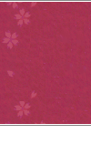 䉮ݖ